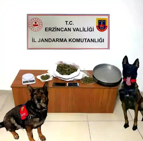 Erzincan Jandarması Aralık'ta 138 Olay Çözdü