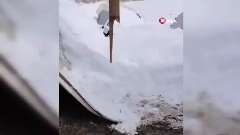 Karda Çöken Çadırda 55 Koyun Telef Oldu