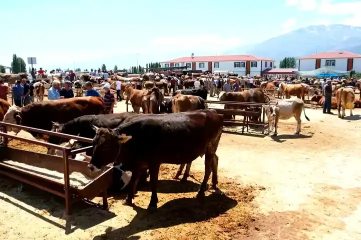 Erzincan Hayvan Pazarı Şap Hastalığı Nedeniyle Kapandı