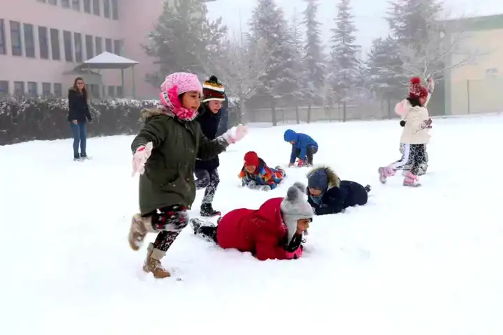 Erzincan'da Kar Yağışı Eğitimi Durdurdu