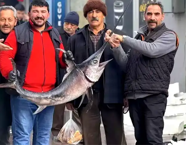 Erzincan'da İlk Kez Kılıçbalığı!