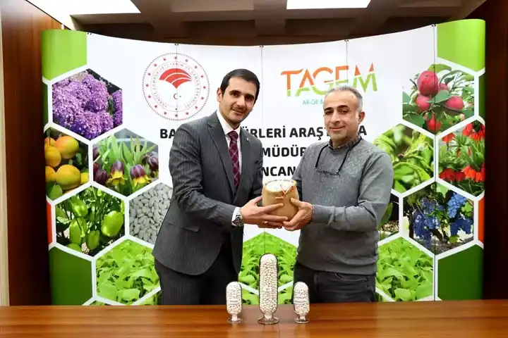 Erzincan'da Yeni Kuru Fasulye Çeşitleri Tescil Başvurusu