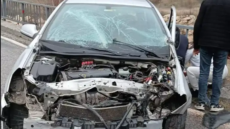 Doğu Anadolu'da Trafik Kazası: Anne Hayatını Kaybetti