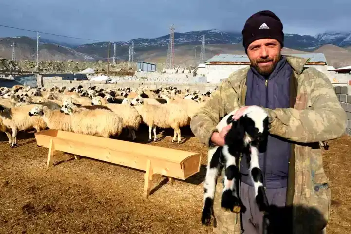 Erzincan Tulum Peyniri: Üretici-Tüketici Fiyat Çukuru