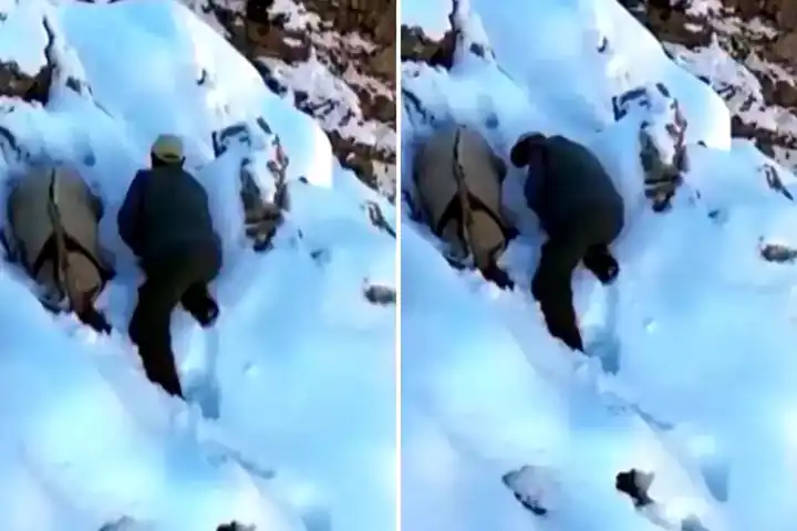 Kaçak Avcı Dağ Keçisi Taklidiyle Yakalandı!