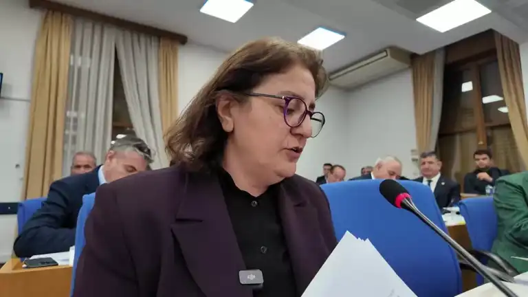 Maden Faciası Sonrası Tepki: İliç'teki Altın Madeni Tartışmaları